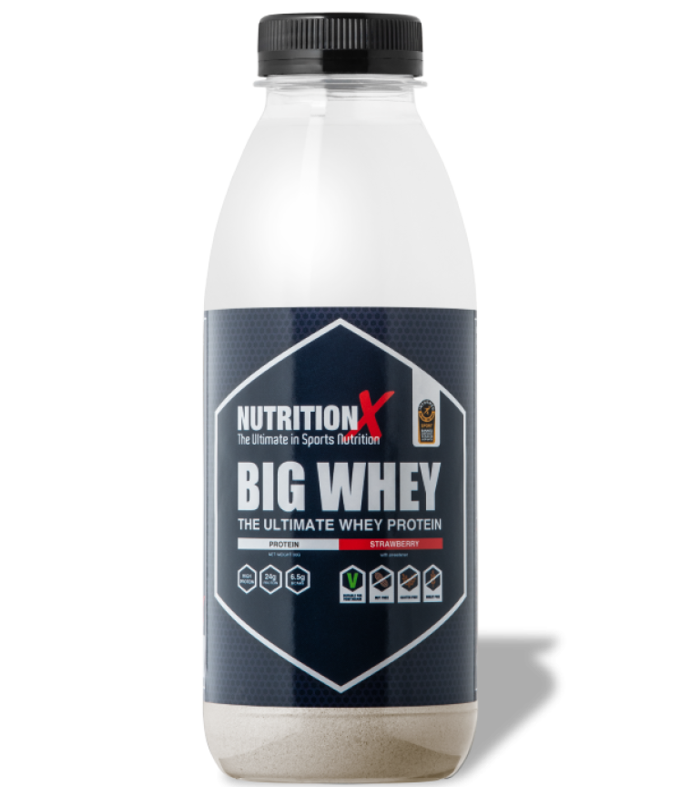 Big Whey Protein Shake and Take (15 x 30g)