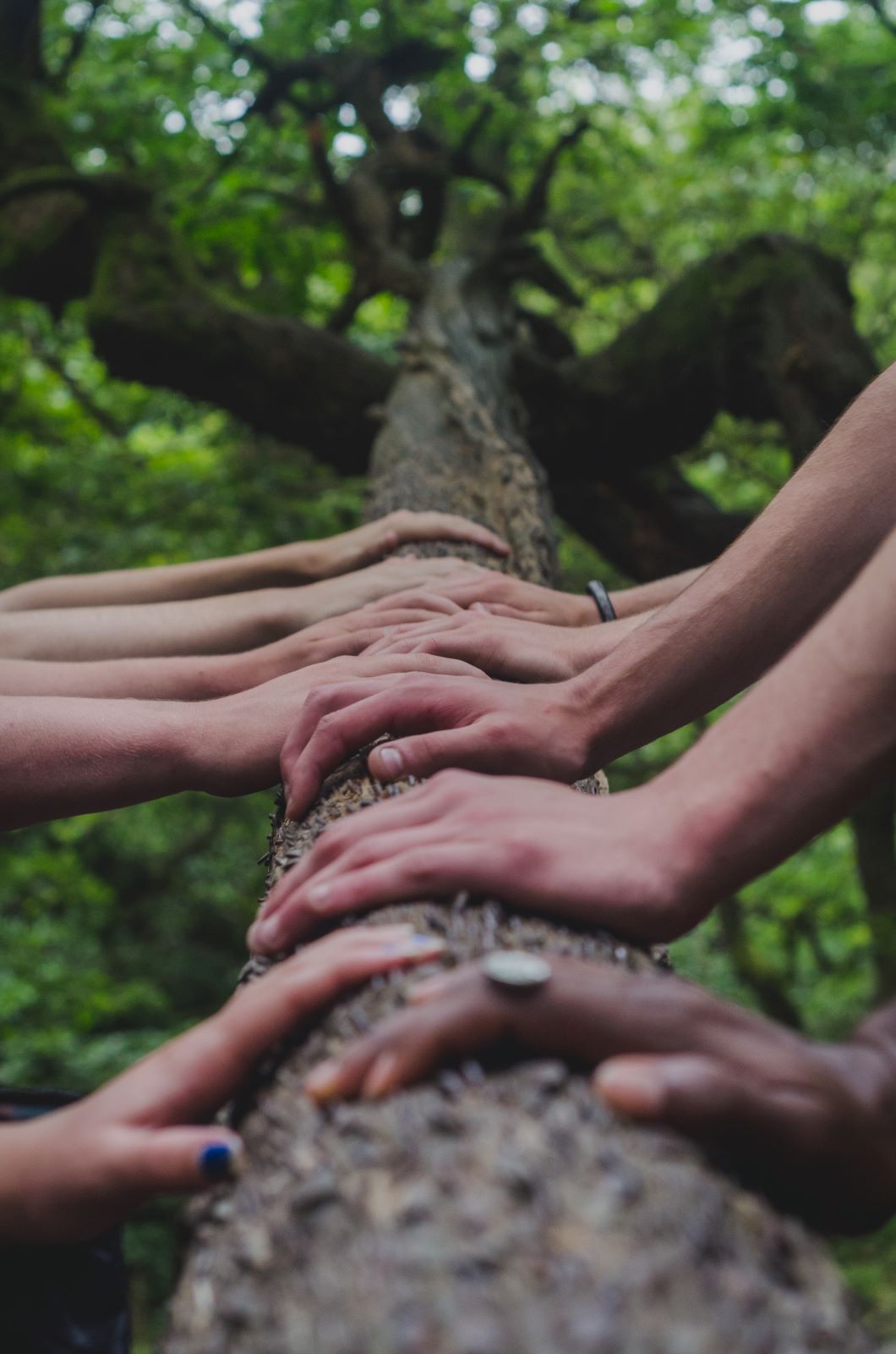 shane-rounce-DNkoNXQti3c-unsplash Hands together